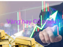 Mua vàng hay mua cổ phiếu? 