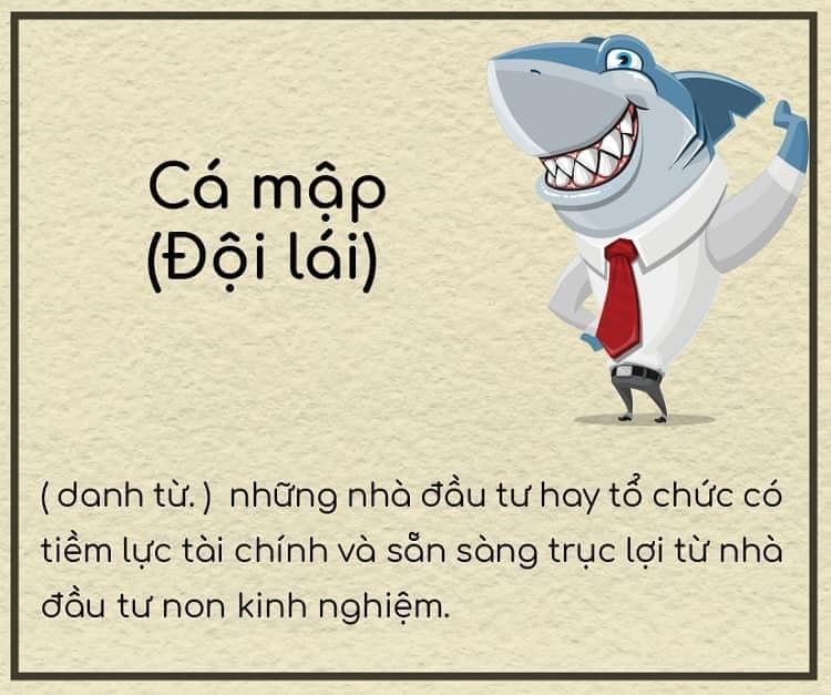 65A425B2-8E92-4418-B8F5-2FEACD14DD9C